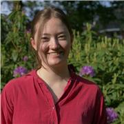 Online Englischlehrerin - Biete Nachhilfeunterricht und Hausaufgabenbetreuung